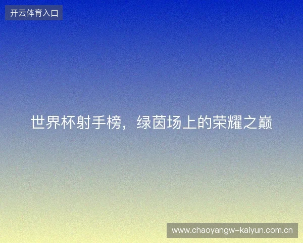世界杯射手榜，绿茵场上的荣耀之巅